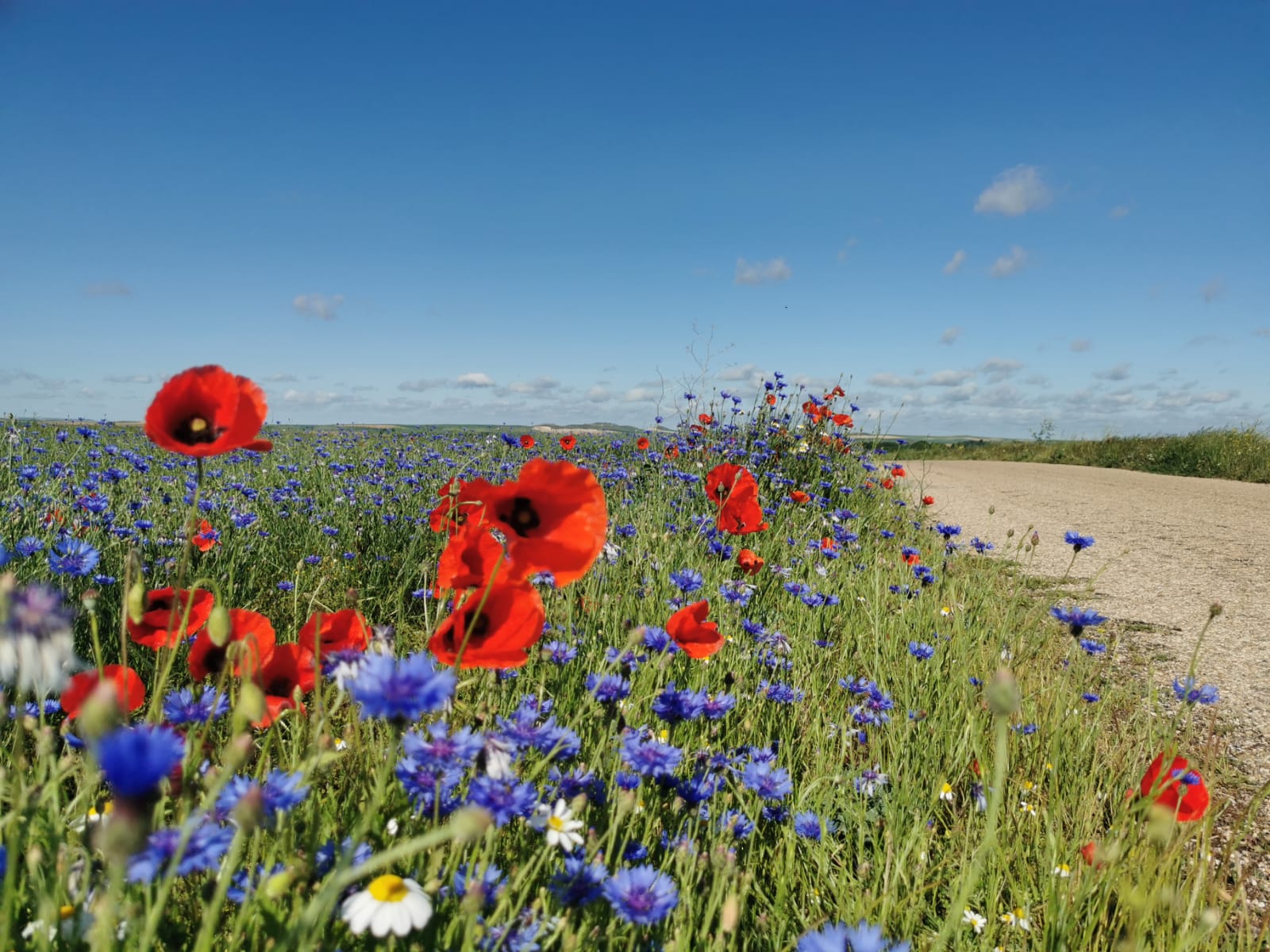 Apprendre la poterie – mon ode à la lenteur